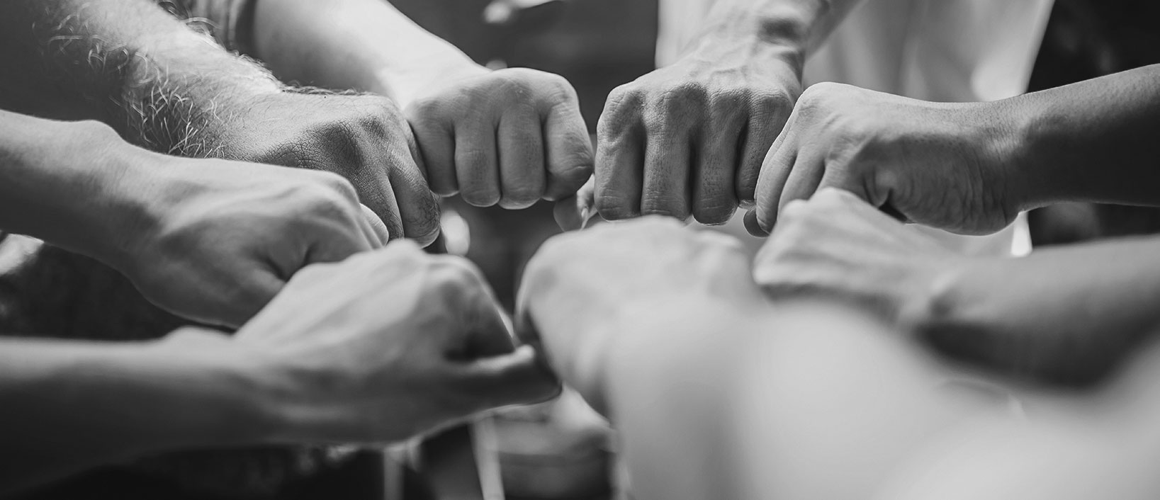 zdjecie czarnobiale ręce Przedsiębiorstwo społeczne kocham Jaśka